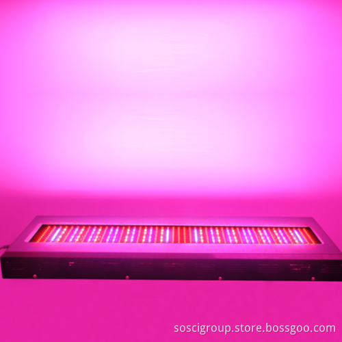 Blackstar LED Grow Lights/New Design 1200W LED Grow Lighting (SOS-G576X2W)